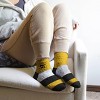 NCAA Iowa Hawkeyes Neapolitan Stripe Fuzzy Socks - 2 of 3