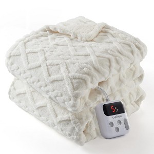 GustoWave Heated Blanket Throw - Thick Cotton Velvet Blanket with Controller, Fast Heating Machine Washable, Beige - 1 of 4