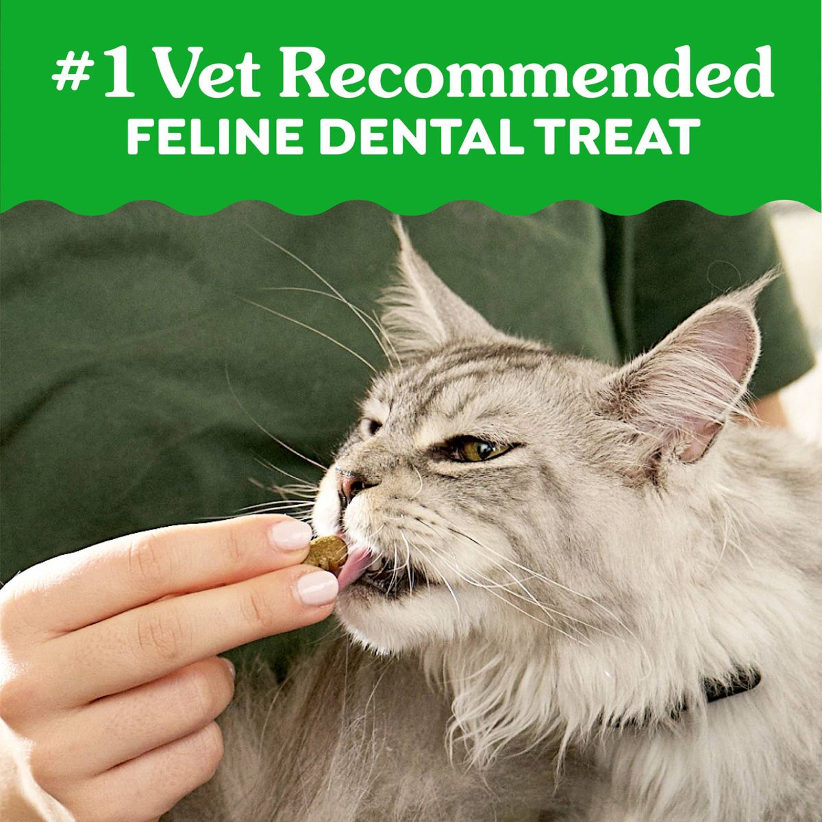 Greenies Savory Salmon Flavor Dental Cat Treats - thumbnail 4