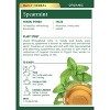 Traditional Medicinals Spearmint Organic Tea - 32ct - image 2 of 4