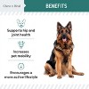 Chew + Heal Green Lipped Mussel Powder Joint & Ligament Health Supplement for Dogs & Cats, 6-oz jar - 4 of 4