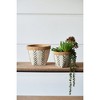 NAYSAYE Planter Set of 2 White and Brown Cement Planter with V Pattern for Indoor Outdoor Garden, Multicolored, 16"*12"*12" - 2 of 4