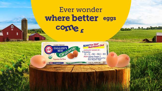 Eggland's Best Organic Grade A Large Brown Eggs - 12ct, 2 of 14, play video