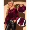 Allegra K Women's Velvet Cowl Neck Lantern Sleeve Tops - 2 of 4