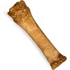 Nylabone NUBZ Chicken Souper Dental Chewy Dog Treats - 6.7oz - image 3 of 4