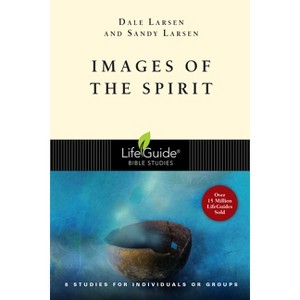Images of the Spirit - (Lifeguide Bible Studies) by  Dale Larsen & Sandy Larsen (Paperback) - 1 of 1