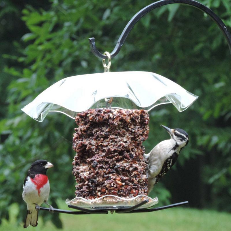 Birds Choice Seed Cylinder Novelty Bird Feeder 15&#34; Clear - Seed Cylinder Not Included, 4 of 6