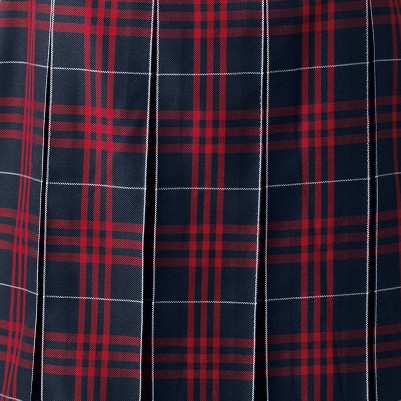 classic navy large plaid