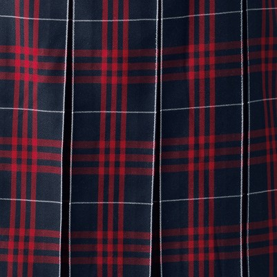 classic navy large plaid