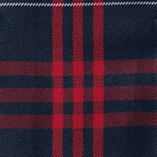 classic navy large plaid