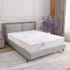 Doctor Pillow Waterproof Durable Anti-dust Mite Anti-Bacteria Lavender Mattress Cover Queen Size - 4 of 4