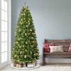 Puleo 7.5' Pre-Lit Artificial Slim Tacoma Pine Tree with 350 LED Lights - 3 of 4