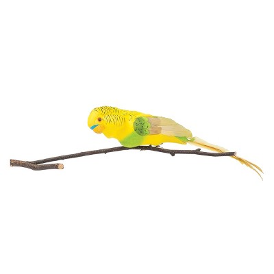 Gallerie II Parakeet Birds Clip Christmas Xmas Ornament