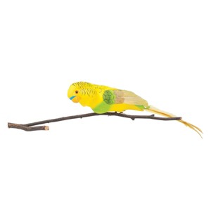 Gallerie II Parakeet Birds Clip  Christmas XMAS Ornament - 1 of 2
