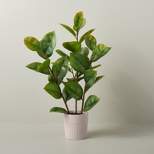 33" Faux Rubber Leaf Plant - Hearth & Hand™ with Magnolia