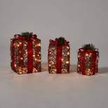 3ct Grapevine Gift Box Christmas Novelty Sculpture Light - Wondershop™