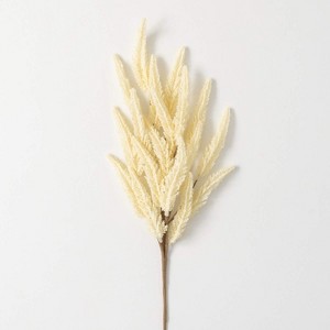 Sullivans Artificial Amaranthus Stem Cream 29"H - 1 of 2