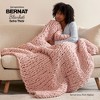 Bernat Blanket Extra Thick 600g 12 pack-Lavender Ice - 4 of 4