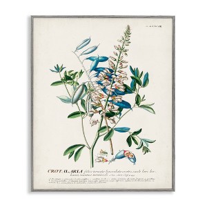 Stupell Industries Flowers And Leaves Vintage Design Framed Giclee Art - 1 of 4
