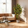 2 PCS 4ft Tall Artificial Lemon Tree with Fake Lemons Floor Plants Artificial for Decor Realistic to Indoor Home Office Fauxe Lemon Tree, Yellow - 3 of 4