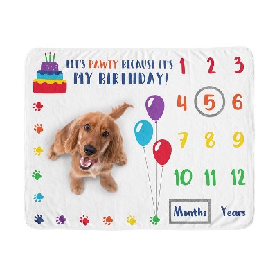 Sweet Jojo Designs Dog Birthday Milestone Blanket Pawty Party Red Yellow and Green
