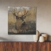 Courtside Market Forest Deer Gallery-Wrapped Canvas - 2 of 4