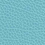 Aqua