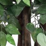 square willow container