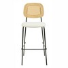 TOV Furniture Anais Rattan Counter Stool - Set of 2 in Natural - 4 of 4