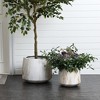 LuxenHome Set of 2 Concrete Round Planters Outdoor Indoor Plant Pots Rustic Wood Grain Texture Tapered Planter Garden Pots Set 15.5" & 11" White - 2 of 4