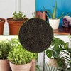Soil Sunrise Organic Worm Castings, Soil Additive - 3 of 4