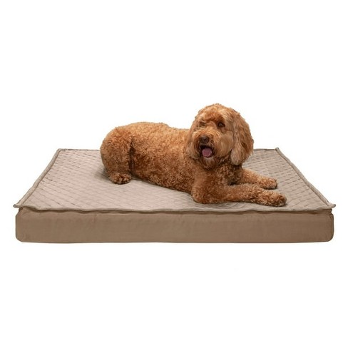 Water cooled hotsell dog bed