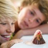 4M: KidzLabs Pocket Volcano - Create Mini Eruptions, Baking Soda Reactions - 4 of 4