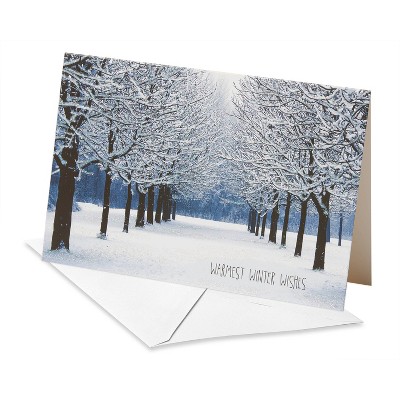 12ct Deluxe Snowy Park Christmas Boxed Greeting Cards - American Greetings