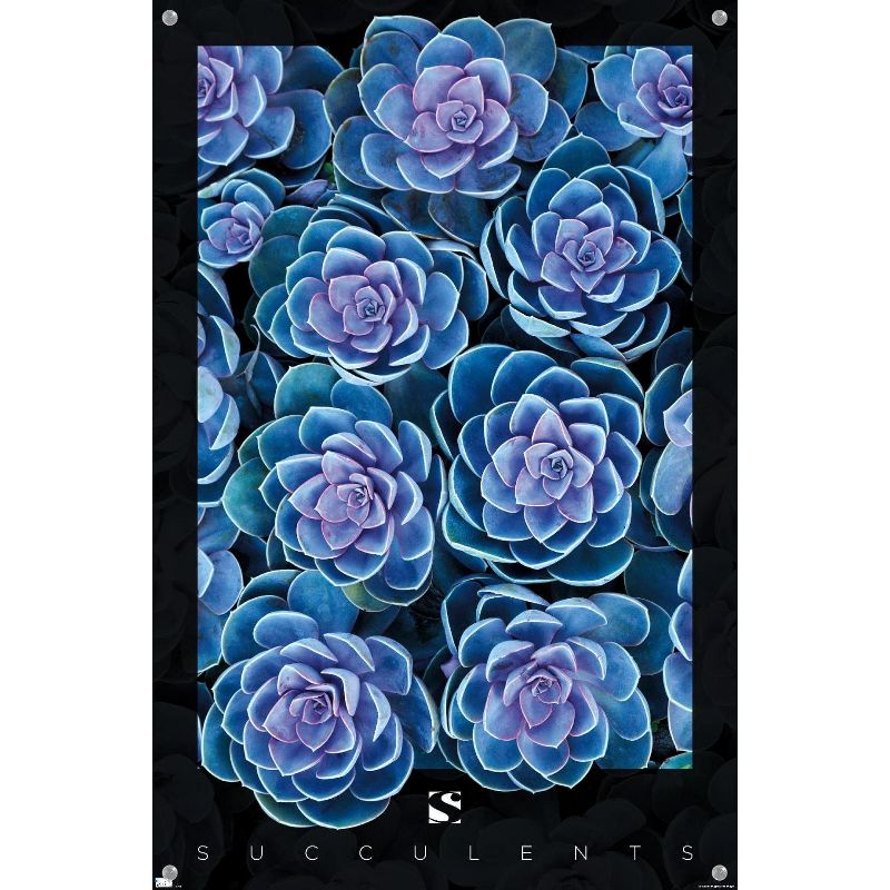 Trends International Succulents - Purple Unframed Wall Poster Prints, 4 of 7