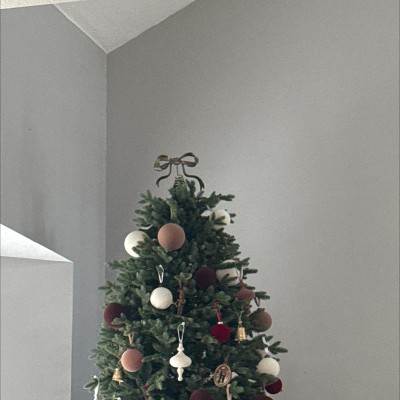 Guest review image 1 of 1, zoom in