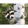 TDC Games World's Smallest Jigsaw Puzzle - Peekaboo Raccoon - Measures 4 x 6 inches when assembled - Includes Tweezers - 2 of 3