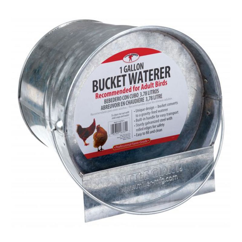 Little Giant 1-Gallon Galvanized Steel Poultry Bucket Waterer w/ Built-In Handle, 2 of 7