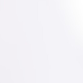 white stretch fabric