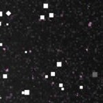 atlanta braves home 2012