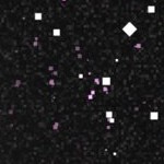 atlanta braves home 2012