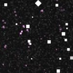 atlanta braves home 2012