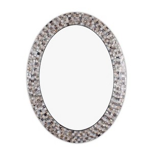 Chloe Lighting Reflection Vertical Hanging Seashell Finish Oval Framed Wall Mirror 35`` Height - 1 of 4