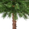 Puleo 4' Pre-Lit Artificial Palm Tree with 150 Multi-Color Lights - 4 of 4