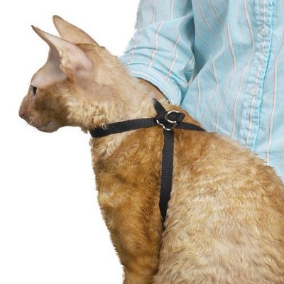 Top Performance Adj Nylon Groom Cat Harness 40In