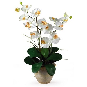 Nearly Natural Double Phalaenopsis Artificial Orchid Flower Arrangement, Cream - 1 of 4