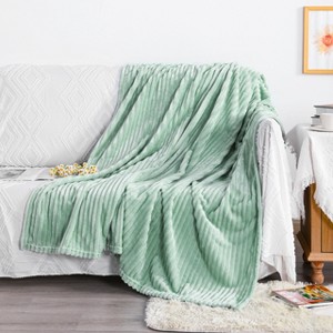 All Seasons Plush Flannel Blanket, Soft and Warm Bed Blanket for Couch Sofa Bed - NTBAY - 1 of 4