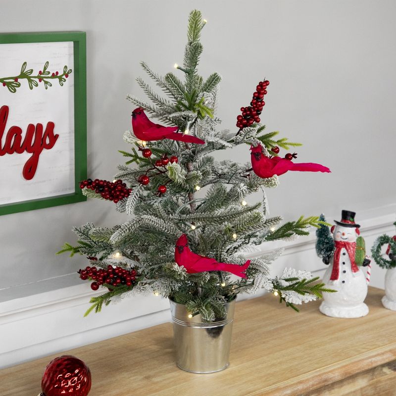 Northlight Pre-Lit LED Frosted Mixed Pine with Cardinals Potted Christmas Tree - 2' - Warm White Lights, 3 of 9
