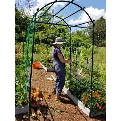 Extra Tall Black Metal Garden Arch Arbor with Nylon Netting