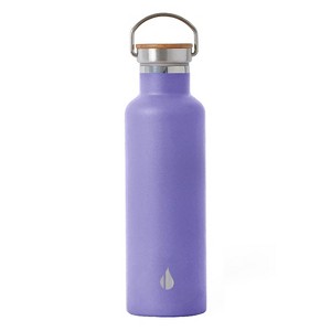 Elemental® Classic Stainless Steel 25-Oz. Water Bottle Thermos with Screw-on Lid and Metal Ring - 1 of 4